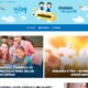 blog rhema portifolio site felipetto marketing