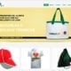 parana bones portifolio site felipetto marketing